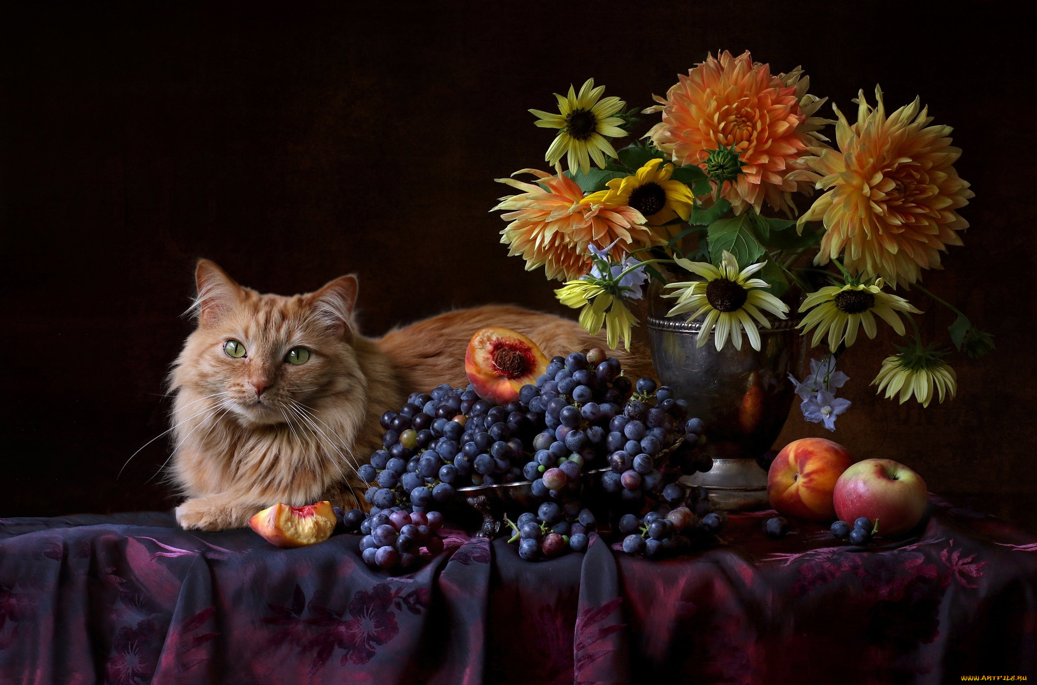 ��������, ����, ���, �����